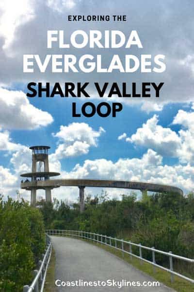 Everglades National Park: Biking the Shark Valley Trail - Coastlines to ...