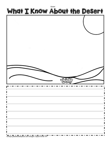 Desert Teaching Activity Worksheets