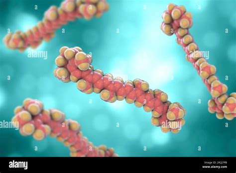 Molecular Model Of Beta Carotene Illustration Stock Photo Alamy