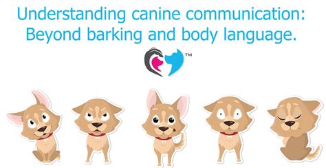 Understanding Canine Communication Beyond Barking And Body Language