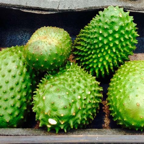 Wana Banas Name Is Inspired In This Fruit Lovelililol