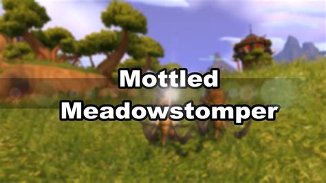 Mottled Meadowstomper Scheckiger Wiesentrampler Mount Drop Youtube