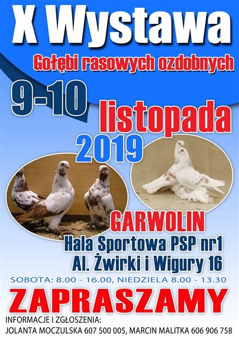 Wystawa gołębi rasowych ozdobnych w Garwolinie po raz 10