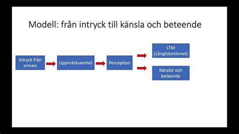 Kognitiv psykologi Genomgång modell intryck till känslor och beteende