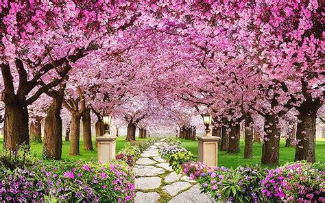 Painel De Festa Em Tecido Sublimado Lindo Jardim Rosa Sublime Sonhos