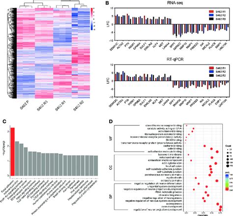 Focal adhesion signaling pathway is dysregulated in MEKi-resistant ...