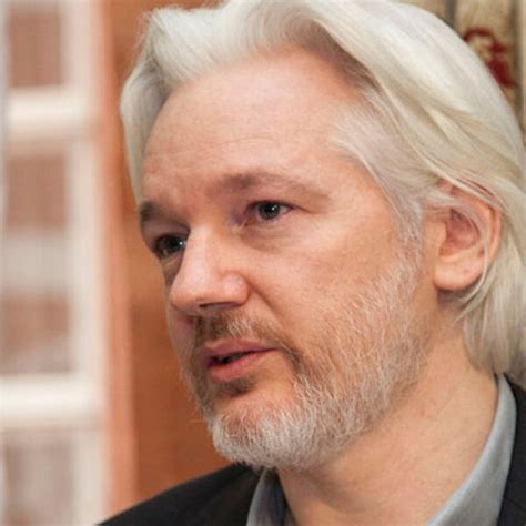 Julian Assange Libero Patteggiamento Con Gli Usa E Ritorno In Australia