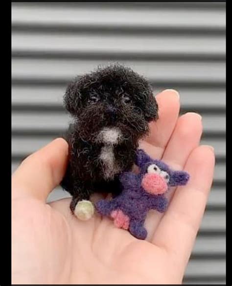 Immortalise Your Pet In Felt Talented Artist Creates Incredible Tiny