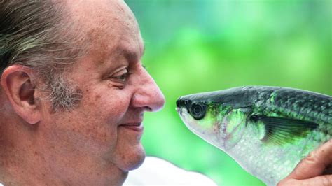 Schwäbischer Sternekoch mediterrane Küche des Vincent Klink