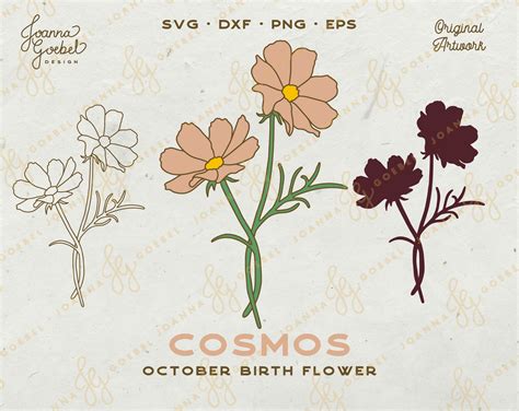 October Birth Flower Cosmos Tattoo | ubicaciondepersonas.cdmx.gob.mx