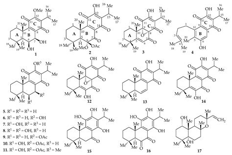 Molecules Free Full Text Antimicrobial Abietane Type Diterpenoids