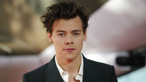 Harry Styles Wiki Bio Age Net Worth And Other Facts Facts Five