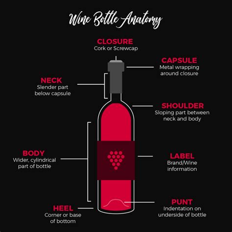 A Complete Guide To Wine Bottles And Their Anatomy