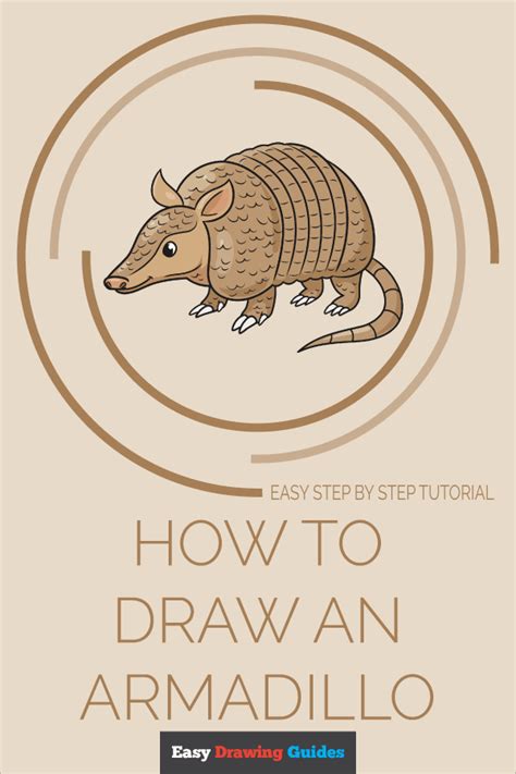 How To Draw An Armadillo Really Easy Drawing Tutorial Artofit