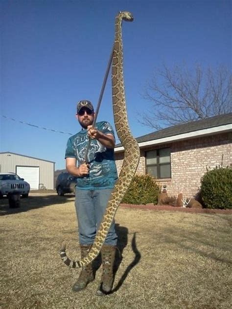 Largest Rattlesnake In The World