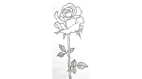 How To Draw Flowers Step By Step Flower Drawing Easy With Pencil