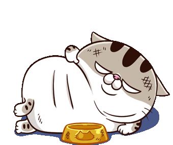 Ami Fat Cat Sticker Ami Fat Cat Im Sexy Discover Share Gifs