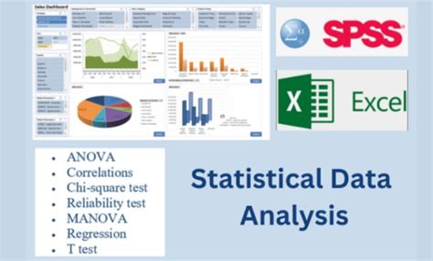 Do Statistical Data Analysis Using Spss Excel By Ravini Sara Fiverr