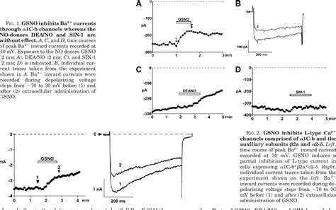 Figure From S Nitrosation Controls Gating And Conductance Of The