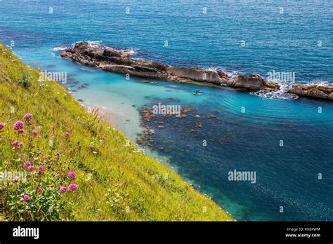 Reef Of Flowers Hi Res Stock Photography And Images Alamy