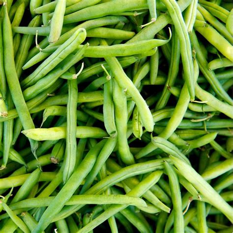 Sysco Whole Haricot Verts Green Beans 2 Lb Delivery Or Pickup Near Me