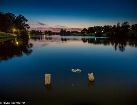 What Fishing Are in Lake Whitehurst Norfolk VA? - Trickyfish