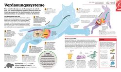 Dkinfografik Biologie Einfach Erkl Rt Dk Verlag