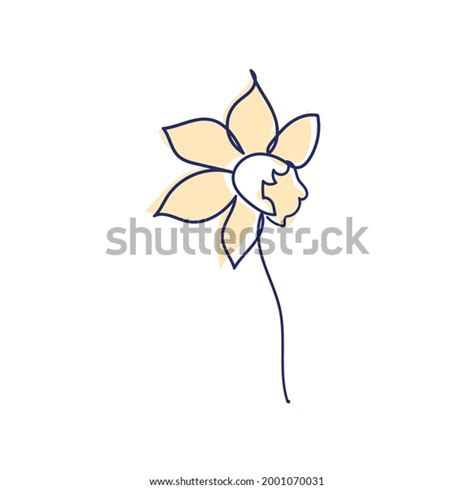 Continuous Line Drawing Beautiful Flower Narcissus Stock Vector