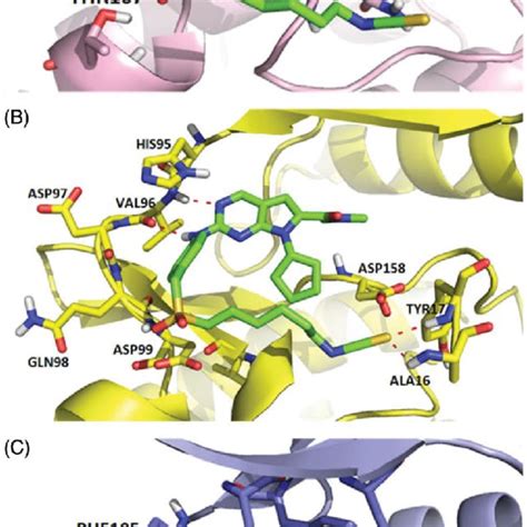 Representation Of The Predicted Binding Modes Of Compound X With Cdks