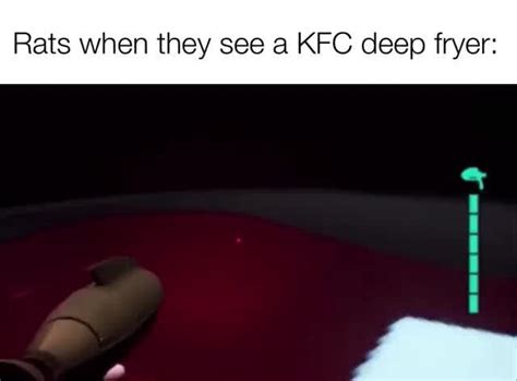 Rats When They See A Kfc Deep Fryer Ifunny