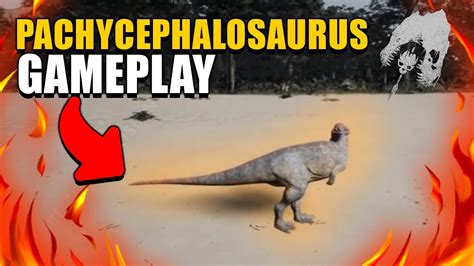 Pachycephalosaurus Gameplay The Isle Evrima News Youtube