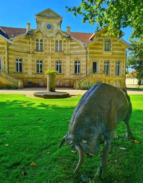 Moulis en Médoc du théâtre au cœur du cuvier au château Maucaillou