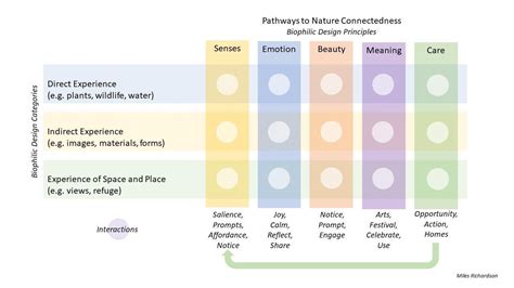 Biophilic Design Principles