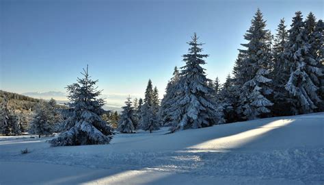 Weather in Poland in December, January & February | 2025