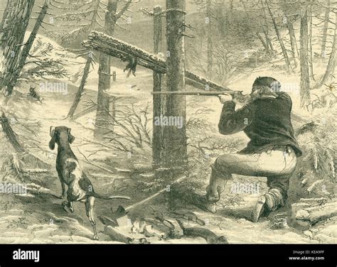 Fur Trapper Hi Res Stock Photography And Images Alamy