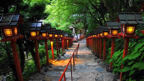 貴船神社 七夕笹飾りライトアップ 幻想的な灯りと青もみじ 京都もよう Kyoto Moyou