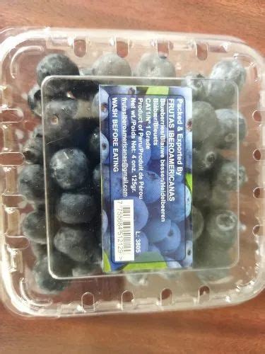 A Grade Imported Blueberry Packaging Type Carton Packaging Size