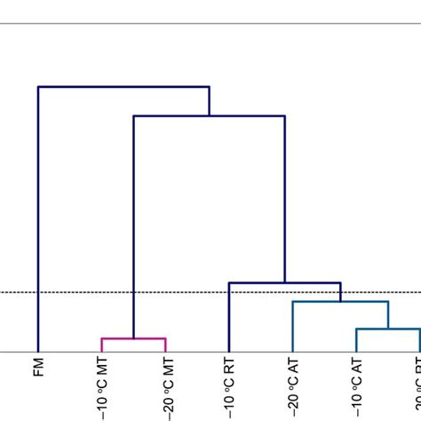 Dendrogram Obtained From Hierarchical Clustering Analysis Hca Of