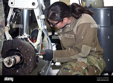 La Sargento De Personal Julia Dunham Mec Nica De Aeronaves Del