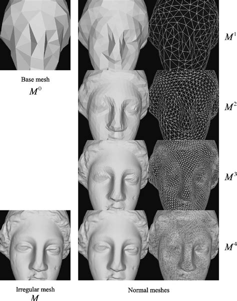 Representation Of The Venus Model At Various Levels Download Scientific Diagram