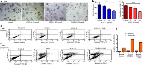 The Anchorage Independent Growth Assay And Apoptosis Assays A Effect