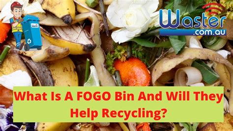 Food Organics And Garden Organics Bins 🥝 Fogo Recycling Youtube