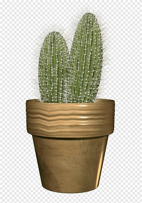 Cactaceae Flowerpot Cactus Grass Vase Png Pngegg