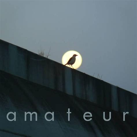 Amateur Amateur Amateur