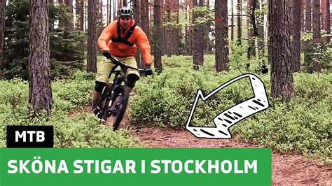 Sköna MTB stigar i Stockholm Happyride se