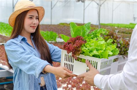 Zoom sur 4 métiers de lagriculture qui recrutent actuellement