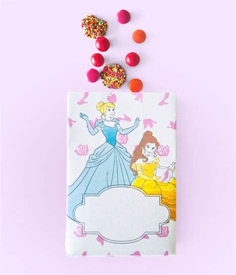 Celebrate With Disney Princess Party Ideas Princess Party Favour Bags