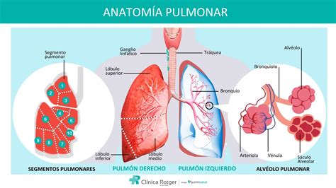 Intervención De Tumores Pulmonares Y De Mediastino Con Una Técnica