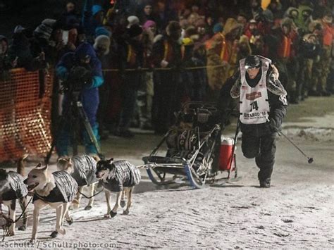 Fastest Iditarod Sled Dog Race Winners of All Time | Stadium Talk