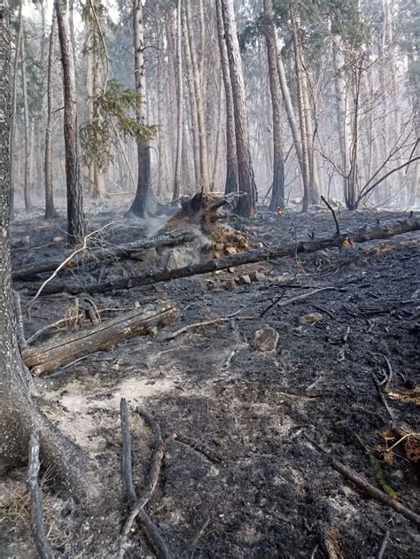 Incendi A Breno E All Annunciata Di Piancogno Giornale Di Brescia